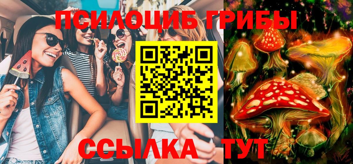 Псилоцибиновые грибы MAGIC MUSHROOMS  Вход с VPN  Наро-Фоминск 
